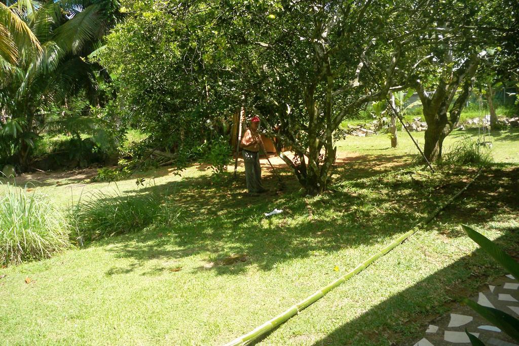 Chez Julie Villa Anse Boileau Kültér fotó